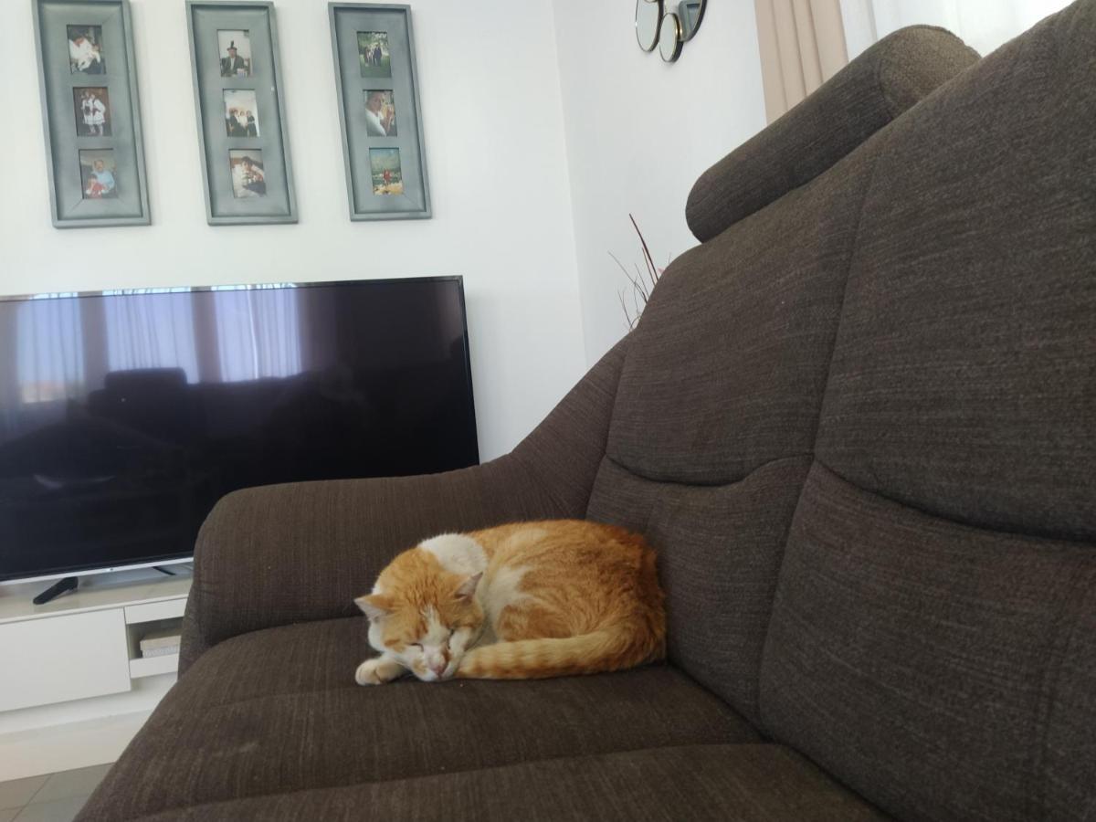 Apartment Juric تروغير المظهر الخارجي الصورة